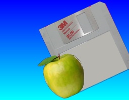 1.0MB DS DD floppy disk from a Mac which needed it's files converting to Word on a PC.